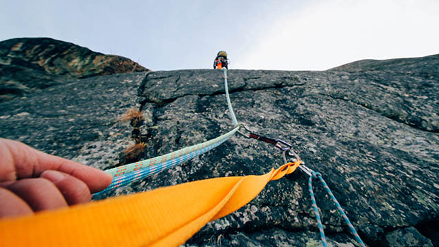 Market Trends: August 2020