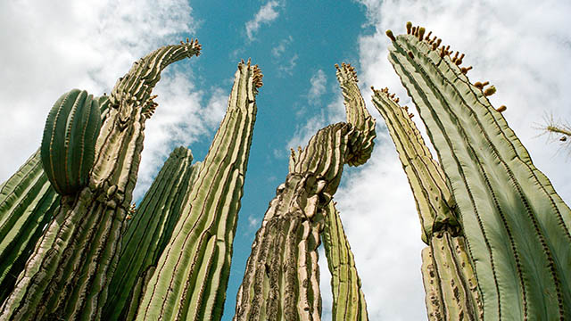 Australian ETF Industry Review - October 2019