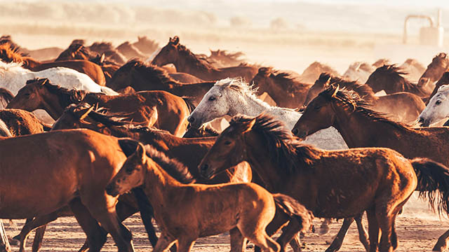 aus etf review_Mar2020