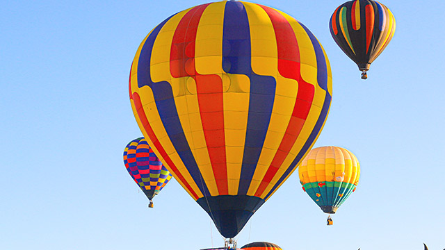 Market Trends: December 2020